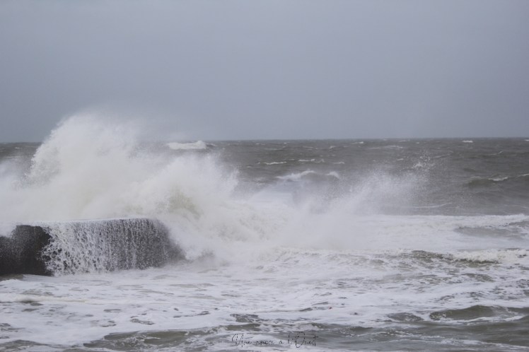 dennisbatzsurmer-1-23