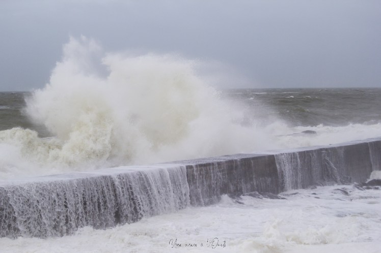 dennisbatzsurmer-1-26