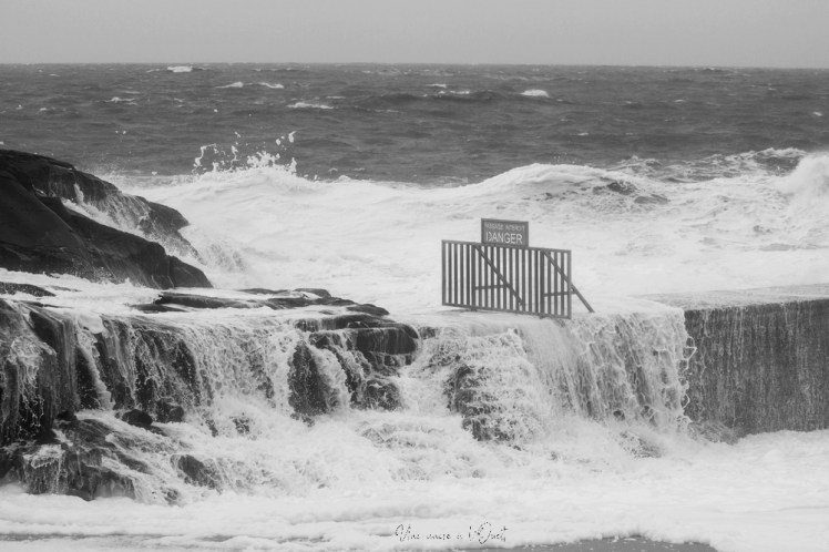 dennisbatzsurmer-1-29