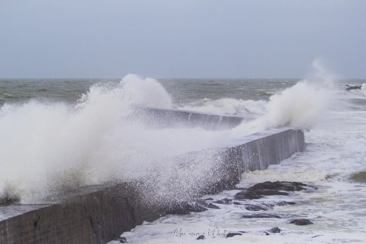 dennisbatzsurmer-1-35