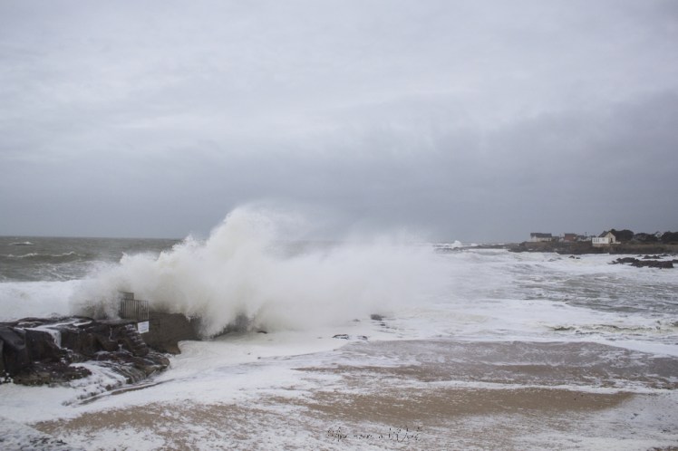 dennisbatzsurmer-1-44