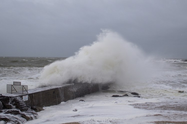 dennisbatzsurmer-1-52