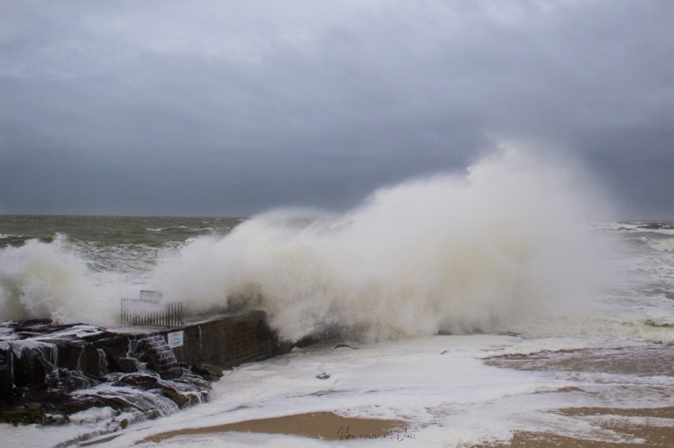 dennisbatzsurmer-1-54