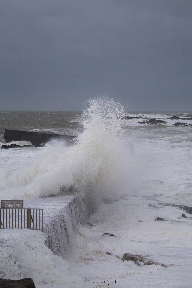 dennisbatzsurmer-1-56