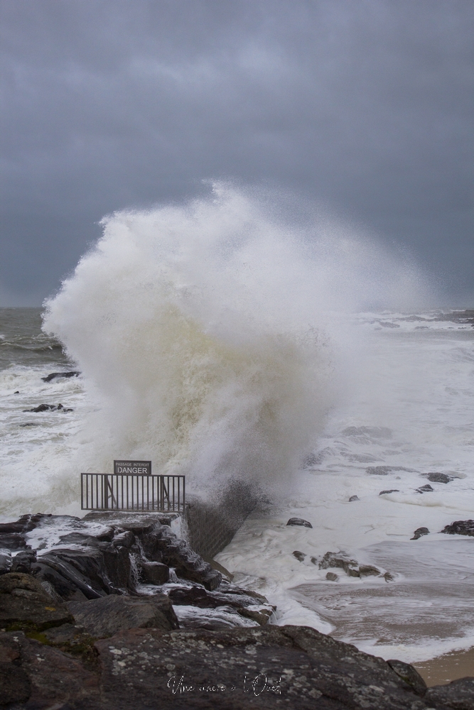 dennisbatzsurmer-1-57