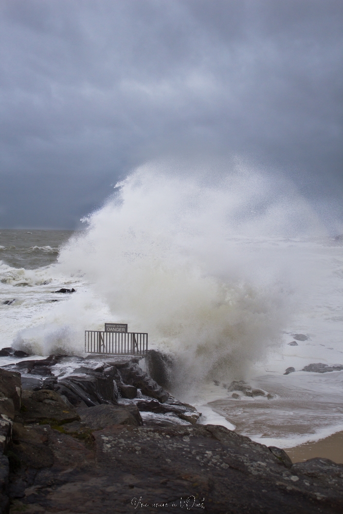 dennisbatzsurmer-1-58