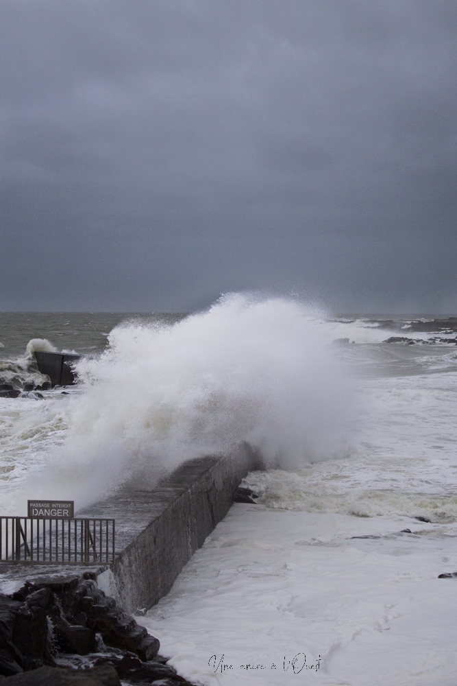 dennisbatzsurmer-1-59