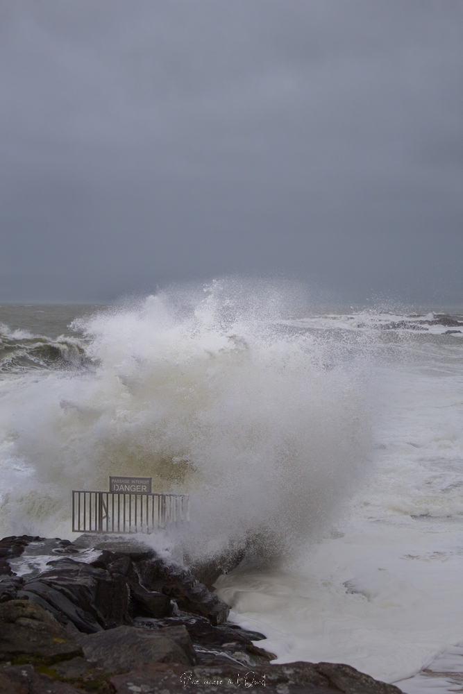 dennisbatzsurmer-1-60