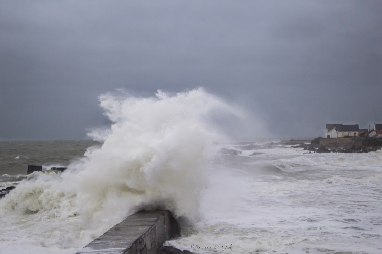 dennisbatzsurmer-1-62