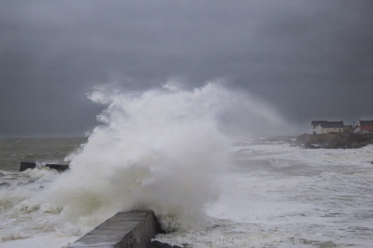 dennisbatzsurmer-1-63