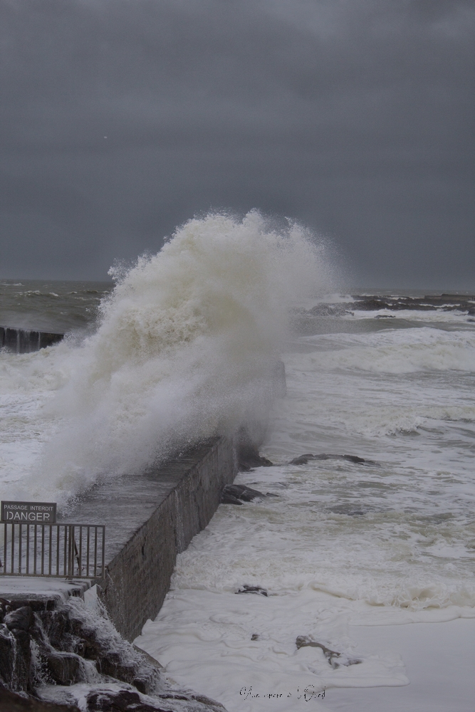 dennisbatzsurmer-1-65