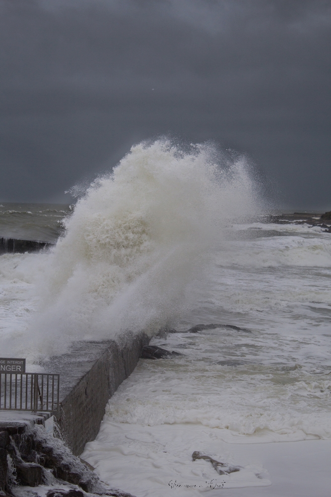 dennisbatzsurmer-1-66