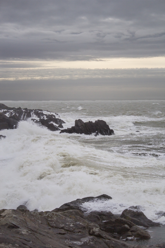 dennisbatzsurmer-1-73