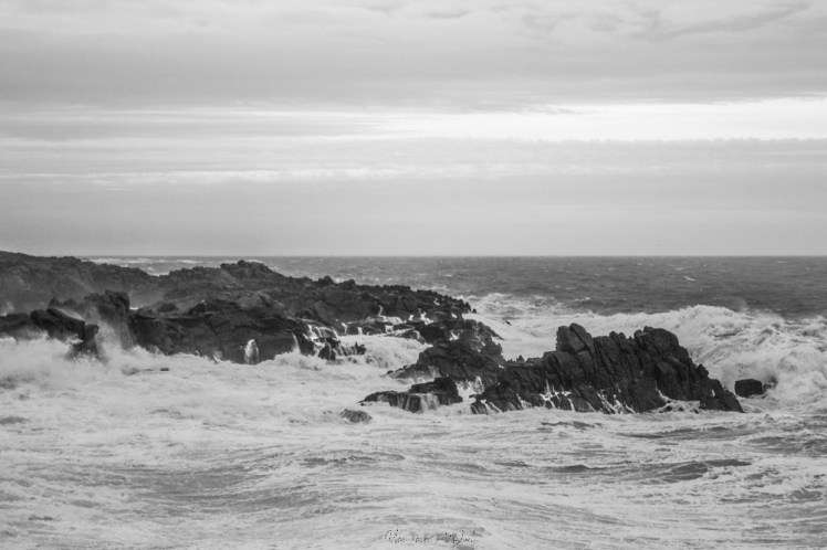 dennisbatzsurmer-1-74