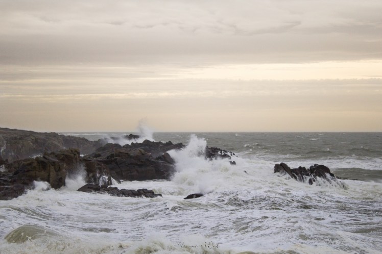 dennisbatzsurmer-1-77