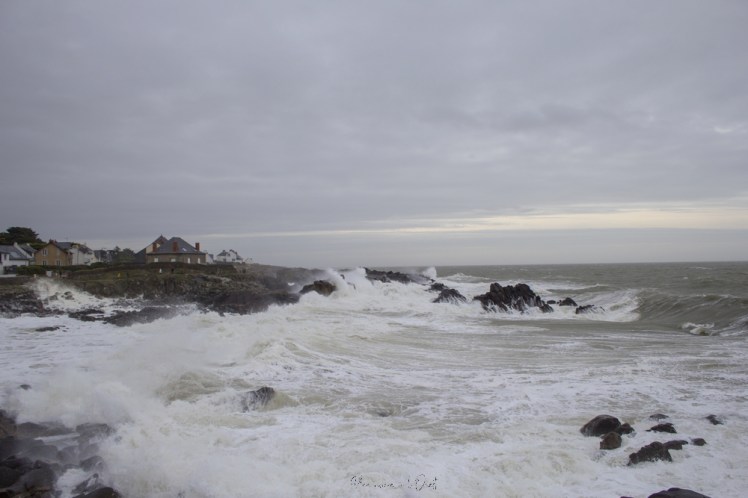 dennisbatzsurmer-1-8