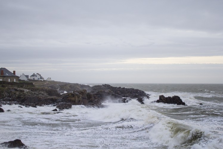 dennisbatzsurmer-1-82