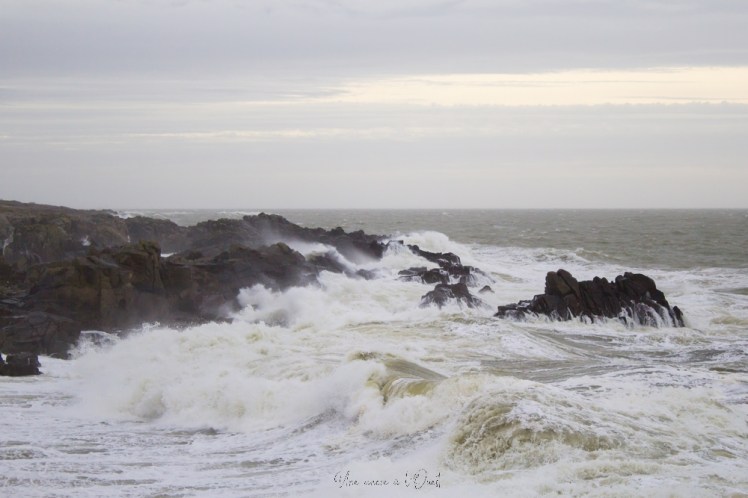 dennisbatzsurmer-1-84