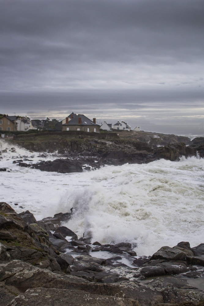 dennisbatzsurmer-1-86