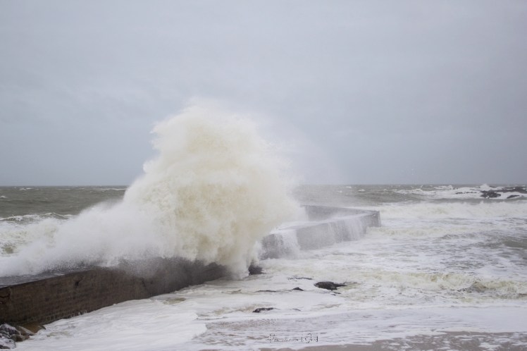 dennisbatzsurmer-1-9