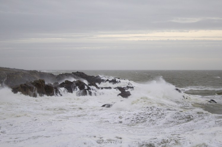 dennisbatzsurmer-1-91