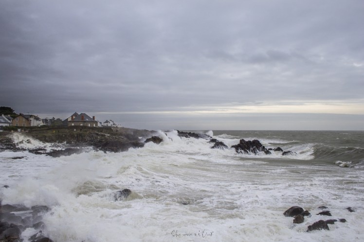 dennisbatzsurmer-1-93