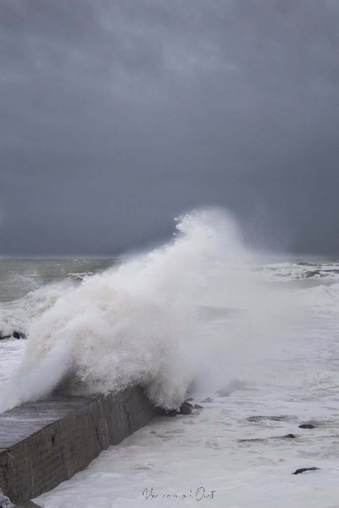 dennisbatzsurmer-1-96