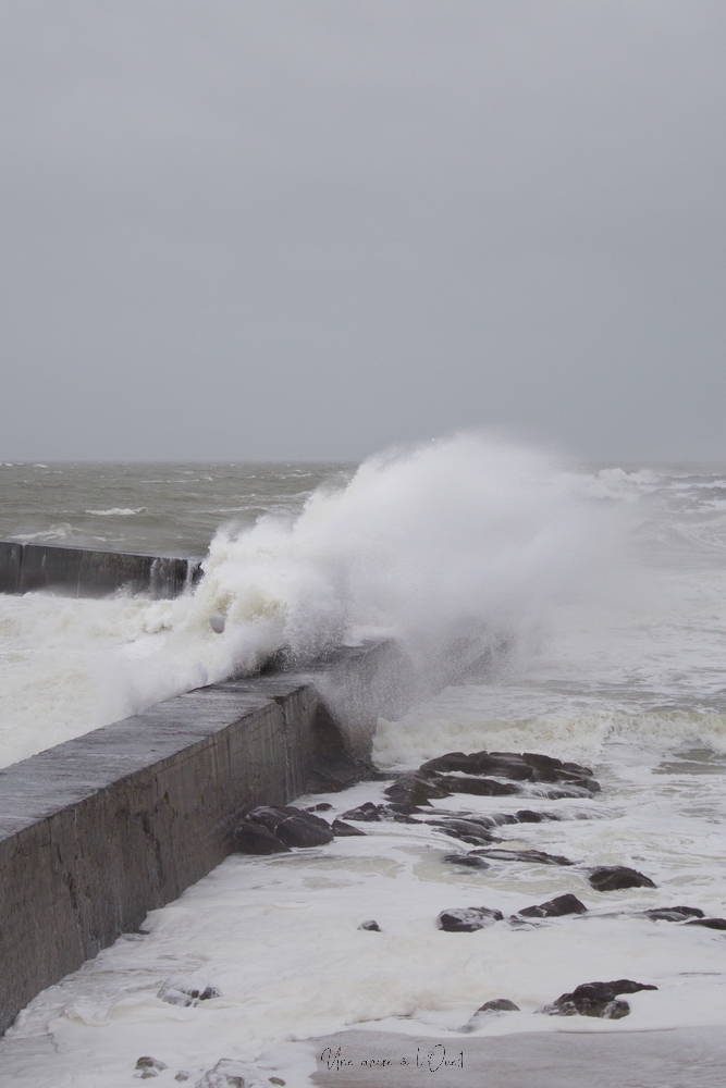 dennisbatzsurmer-1-97