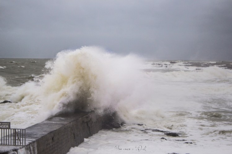 dennisbatzsurmer-1-98