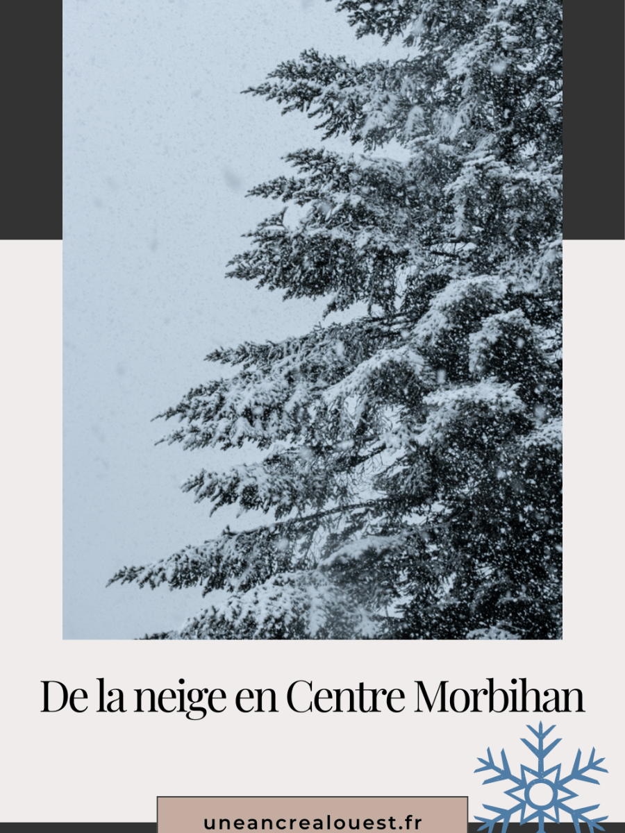 De la neige en Centre&nbsp;Morbihan